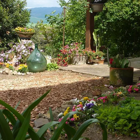 Casa vacanze Mare Colline D'arte *