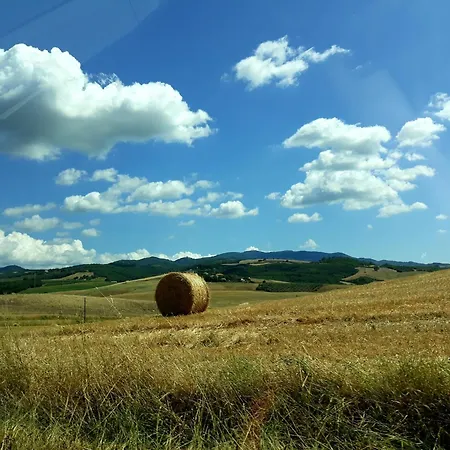 Mare Colline D'arte Casa vacanze