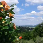 Mare Colline Citta D'arte Розиньяно-Мариттимо