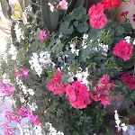 Дом отдыха Mare Colline Citta D'arte *