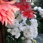 Mare Colline Citta D'arte Дом отдыха *