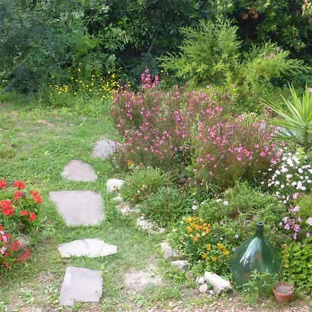 Сasa de vacaciones Mare Colline Citta D'arte Rosignano Marittimo