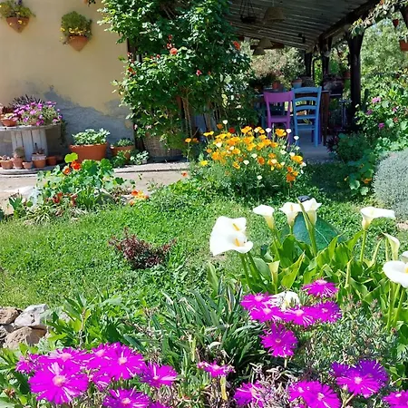 Casa vacanze Mare Colline D'arte *