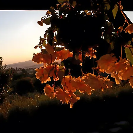 Casa vacanze Mare Colline D'arte