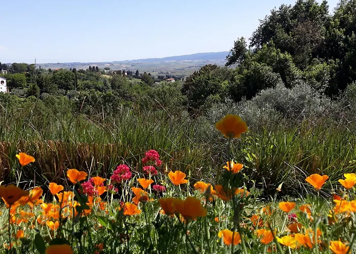 펜션 Mare Colline Citta D'arte 로시냐노 마리티모