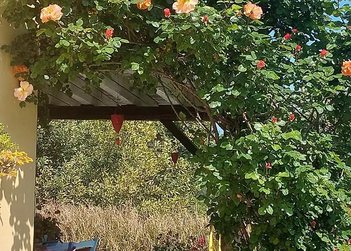 Mare Colline Citta D'arte 펜션